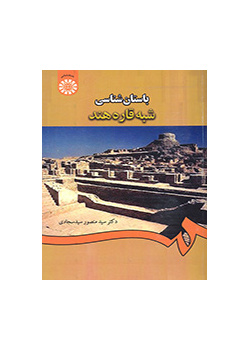 علم الآثار في شبه القارة الهندية