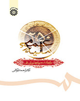 التمويل العام