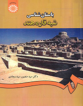 علم الآثار في شبه القارة الهندية