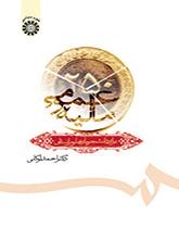 المالية العامة