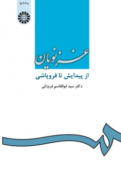 The Ghaznavid's Rise & Fall
