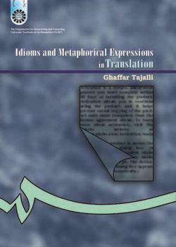 Idioms and Metaphorical Expressions in Translation