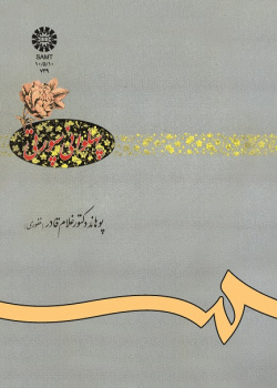 پهلوانى سپورتى