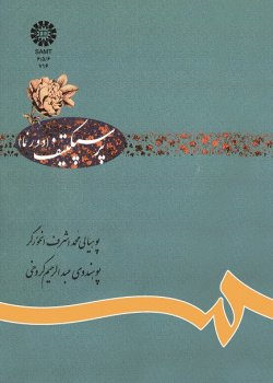پرسپکتیف (دورنما)