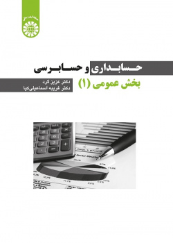 The Public Sector Accounting and Auditing (I)