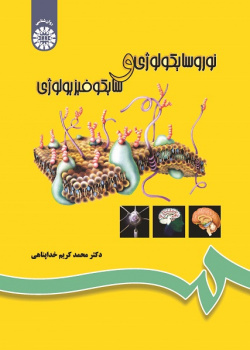 Neuropsychology and Psychophysiology