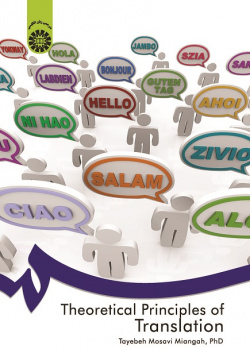 Theoretical Principles of Translation