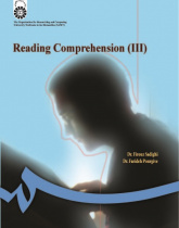 Reading Comprehension (3)