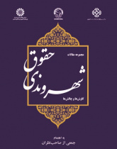Essays on Citizenship Rights: Explorations and Challenges