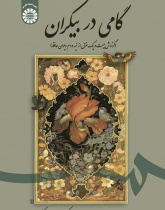 A Step into the Infinitude: A Report on 21 Sonnets From the 2nd Half of Hafiz's Complete Works