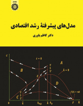 Advanced Economic Growth Models