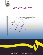 Panel Data Econometrics