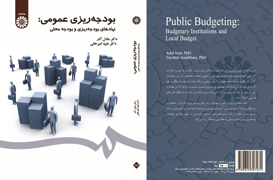 Public Budgeting: Budgetary Institutions and Local Budget