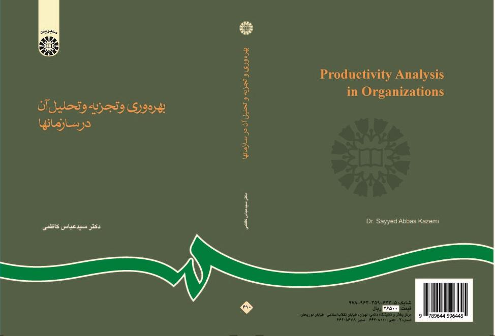 Productivity Analysis in Organizations