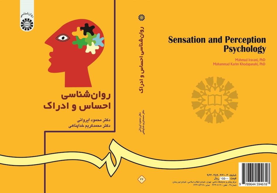 Sensation and Perception Psychology
