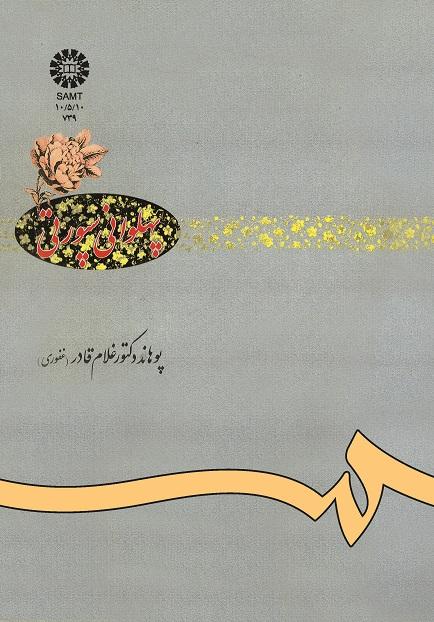 پهلوانى سپورتى
