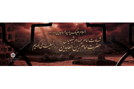 آلبوم تصاویر