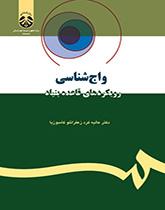 واجشناسی: رویکردهای قاعده بنیاد
